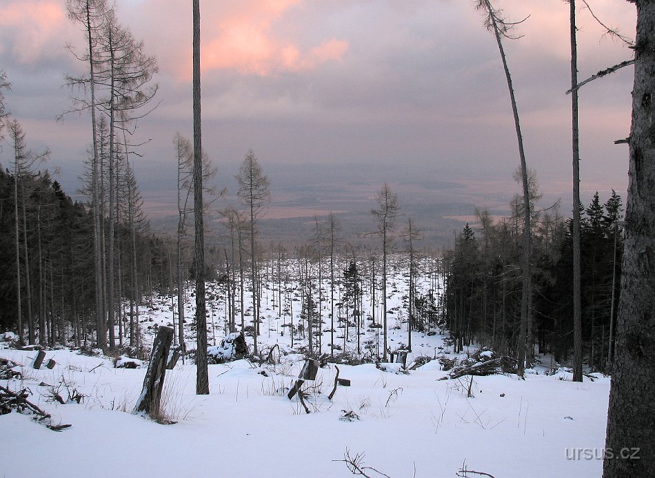 tatry 440.jpg - Následky větrné kalamity z roku 2004 jsou stále výrazné.